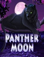 รีวิวประสบการณ์เล่นสล็อตแมชชีนกับ NetEnt แบบละเอียด